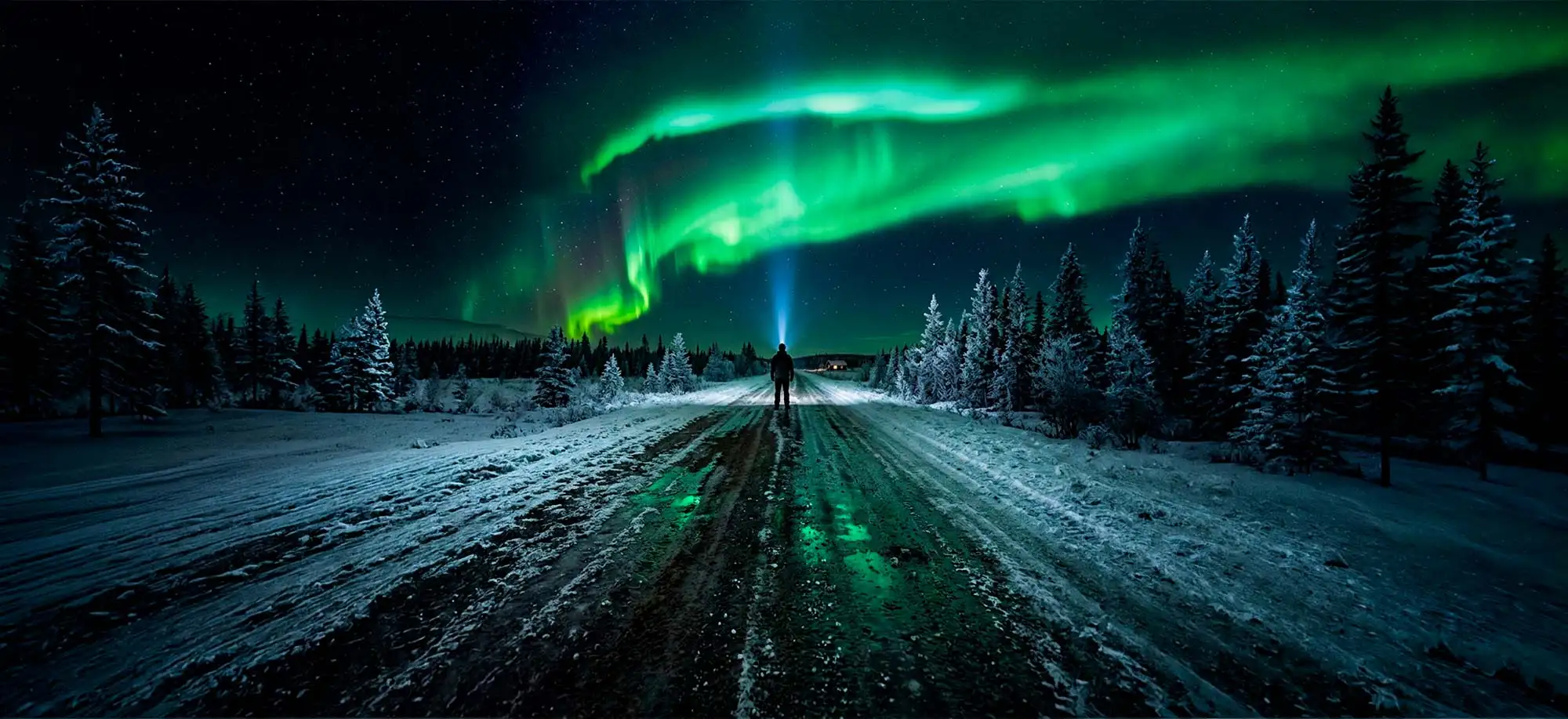 Auroras Boreales Yukon