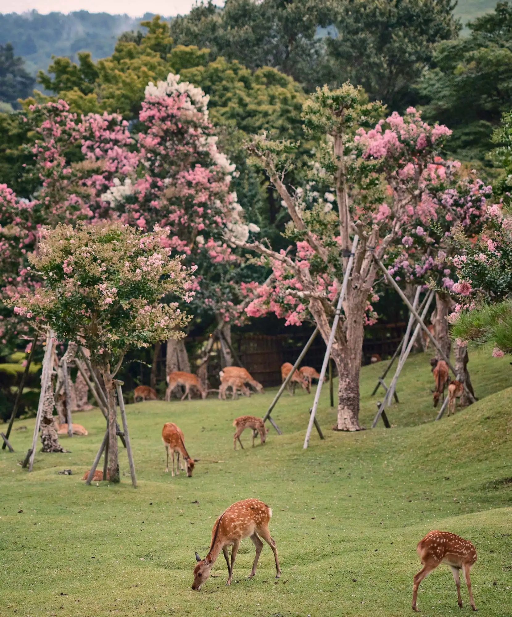 4-Mo╠üdulo-Itinerario-VA-1660x2000px-NARA.webp - Pangea Viajes