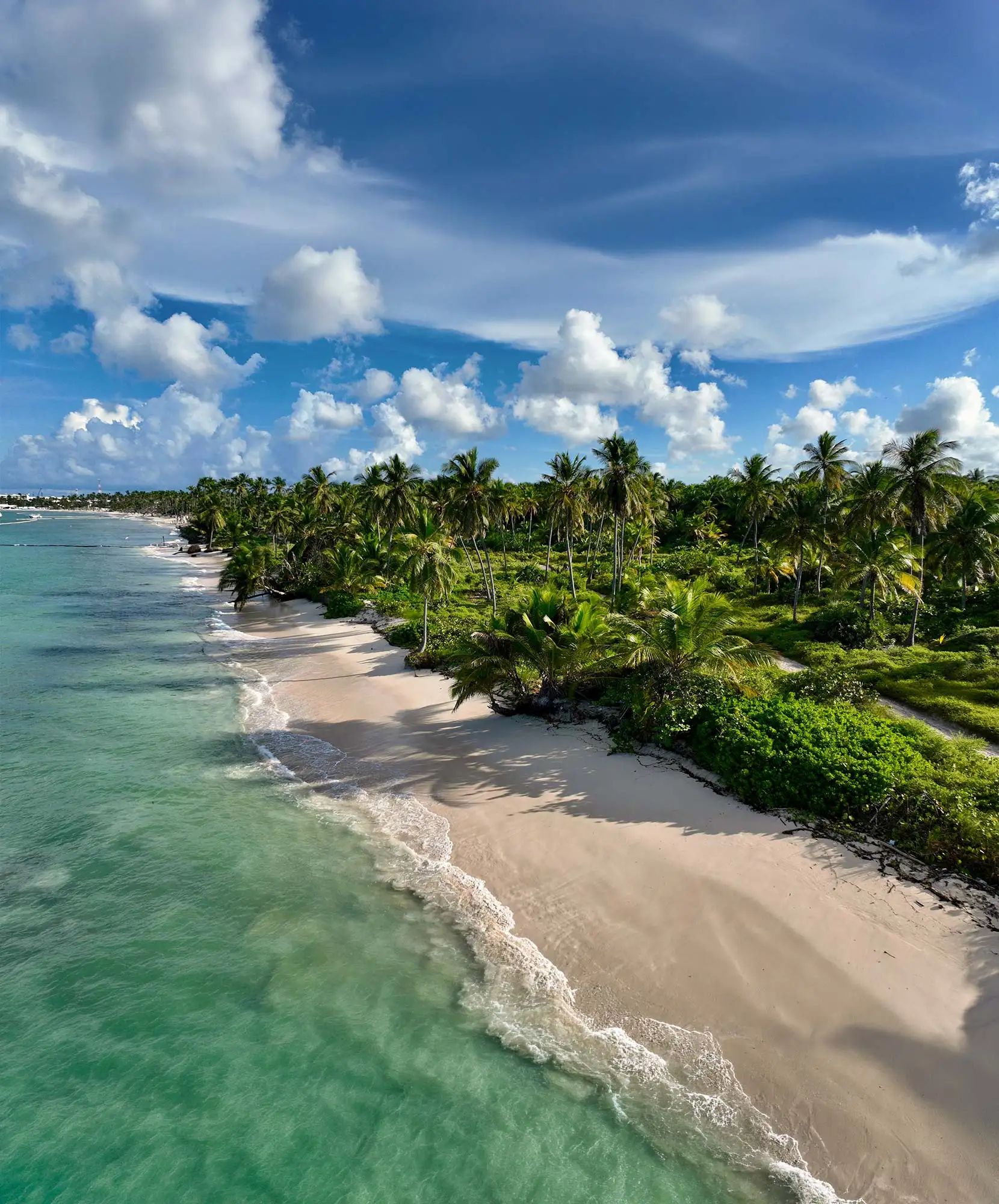 4-Mo╠üdulo-Itinerario-VA-1660x2000px-PUNTA-CANA.webp - Pangea Viajes