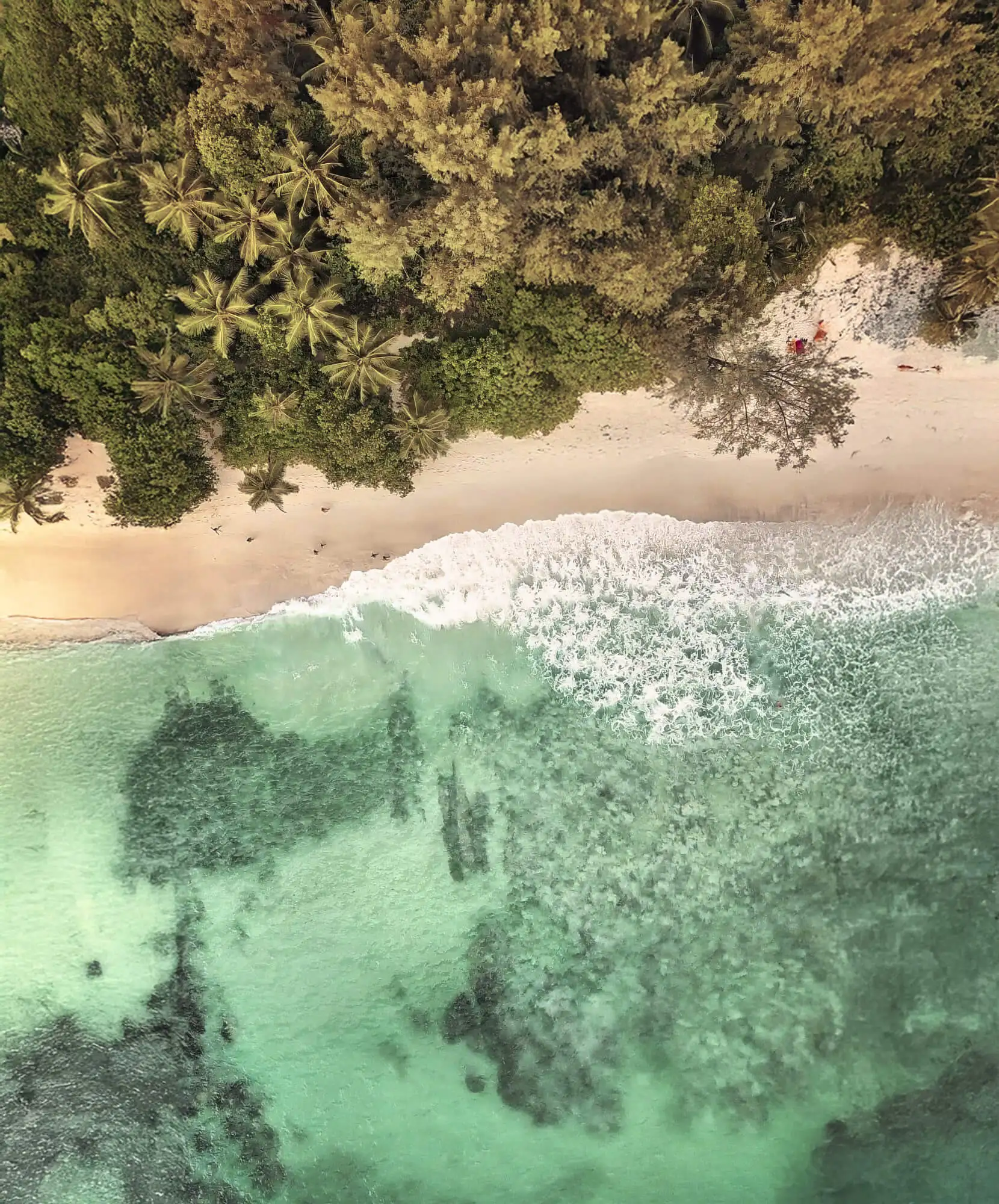 OFERTA-VIAJE-COSTA-RICA-PLAYA.webp - Pangea Viajes