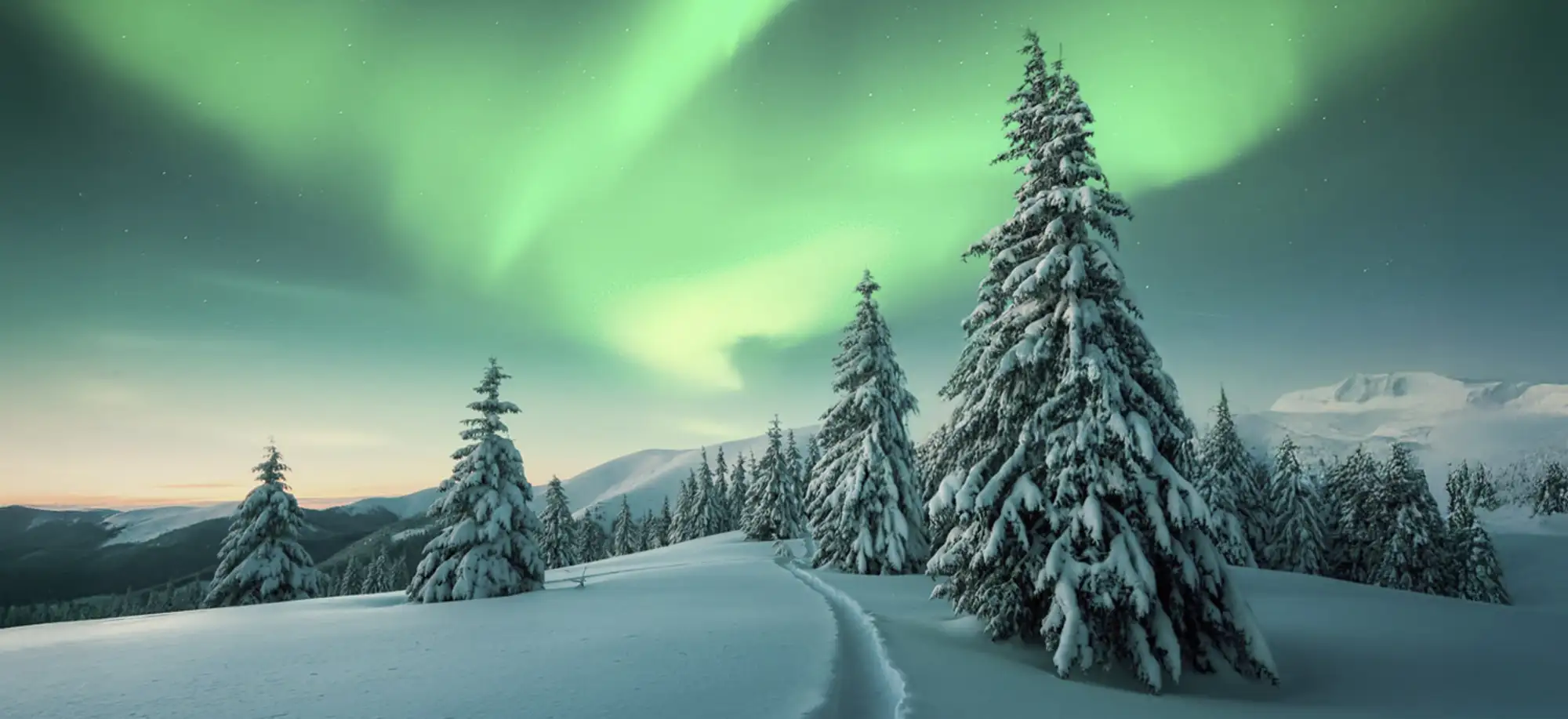 Auroras Boreales Yukon