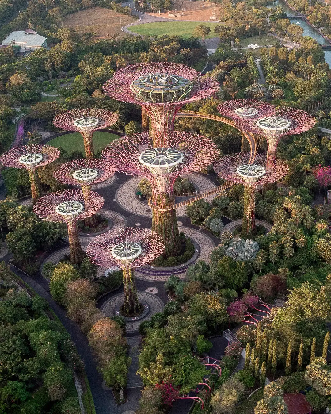 Singapur-02.webp - Pangea Viajes