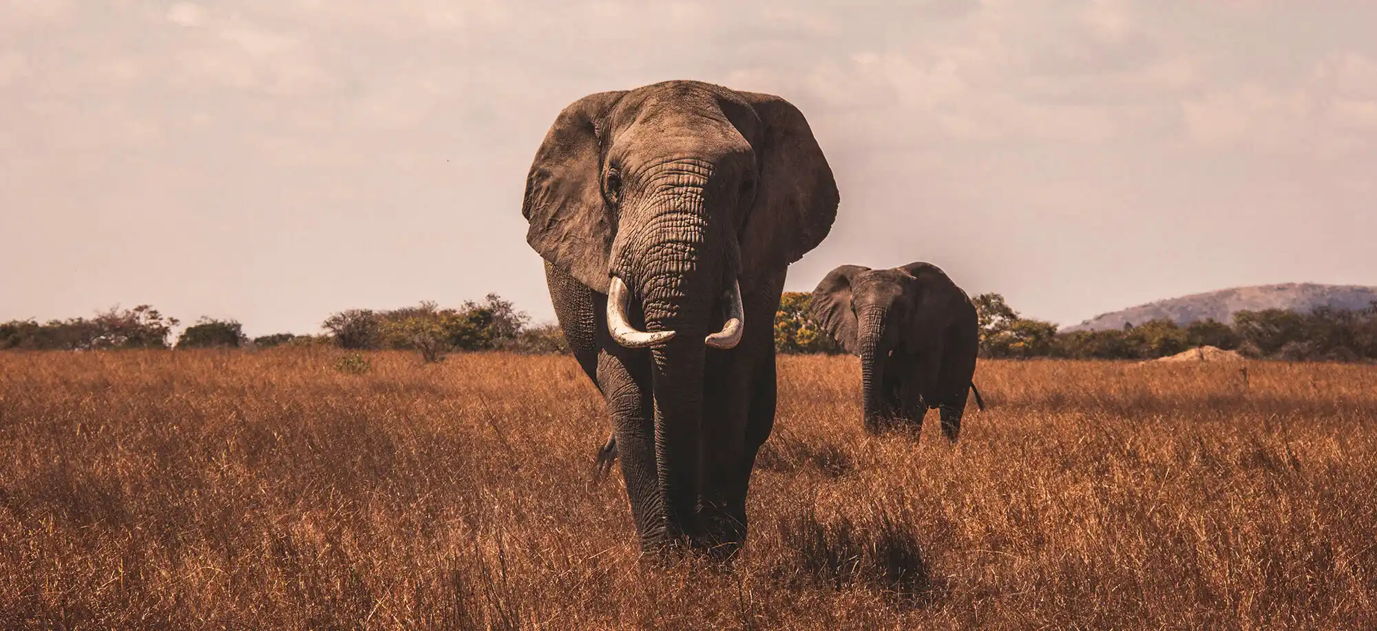 Viajes a Tanzania