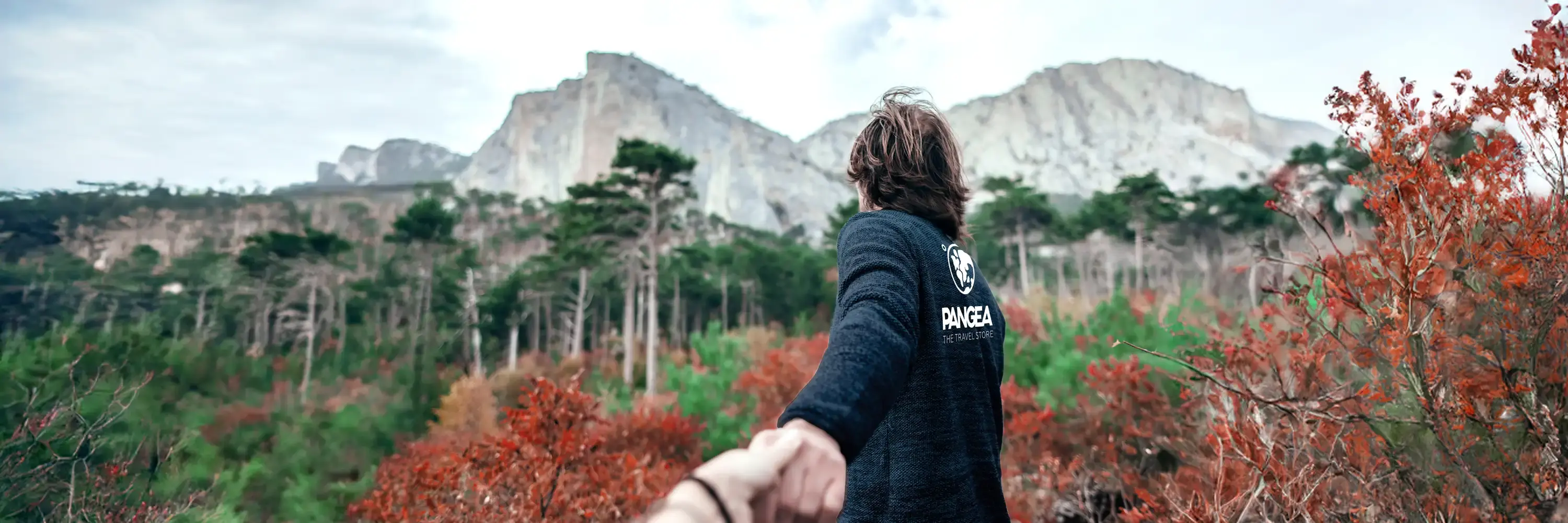 Pangea confirmation