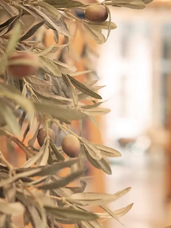 mosaico-vertical-1-BCN.webp - Pangea Viajes