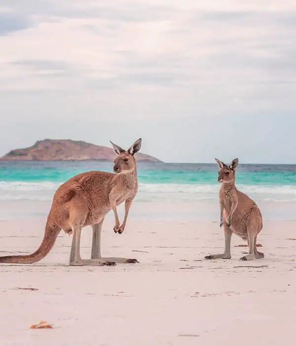Viajes a Australia