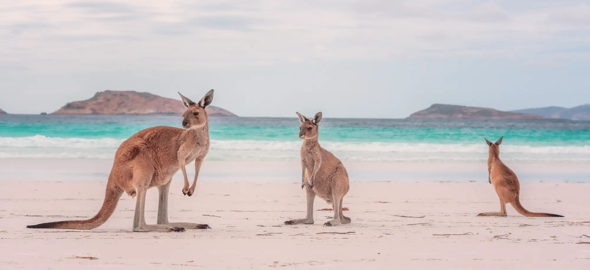 Viajes a Australia