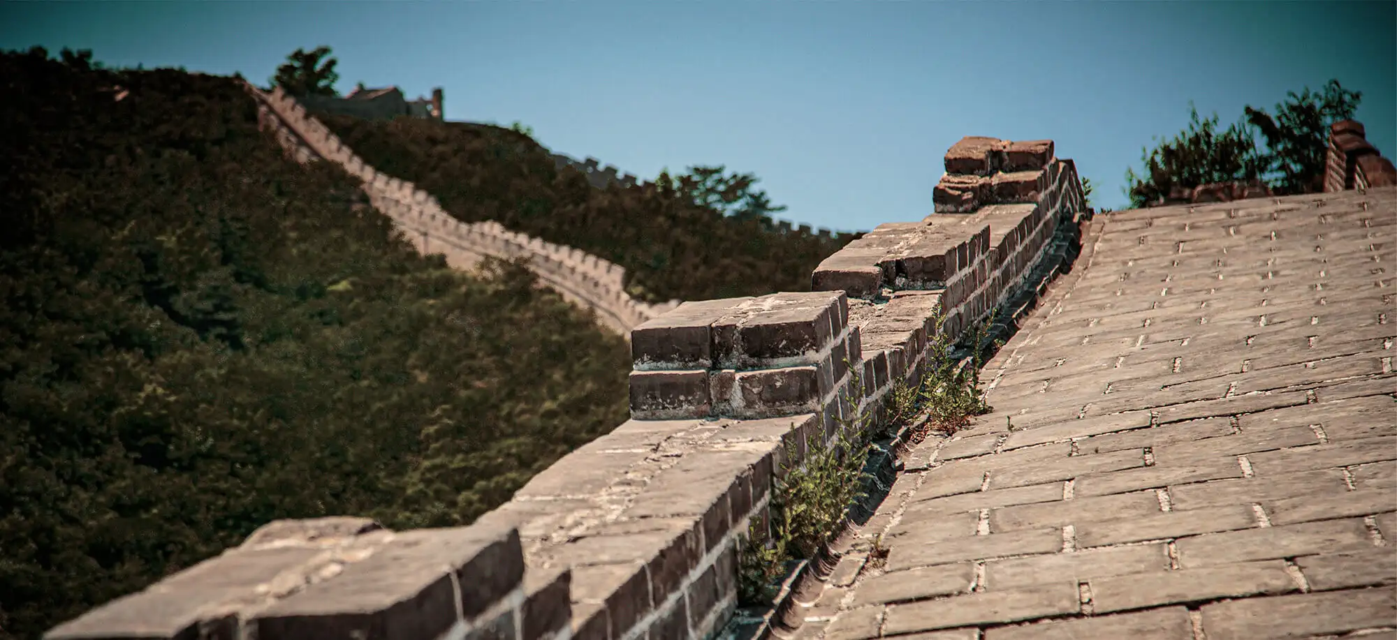 image-viajar-a-china-la-gran-muralla-g1.webp - Pangea Viajes