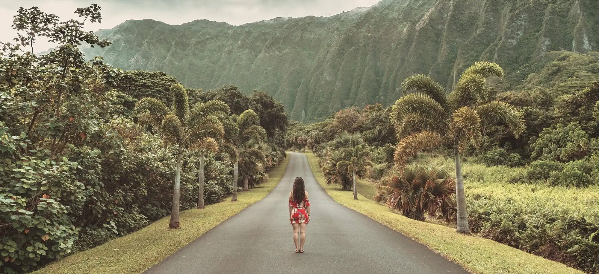 image-viajar-a-estados-unidos-hawai-g1.webp - Pangea Viajes
