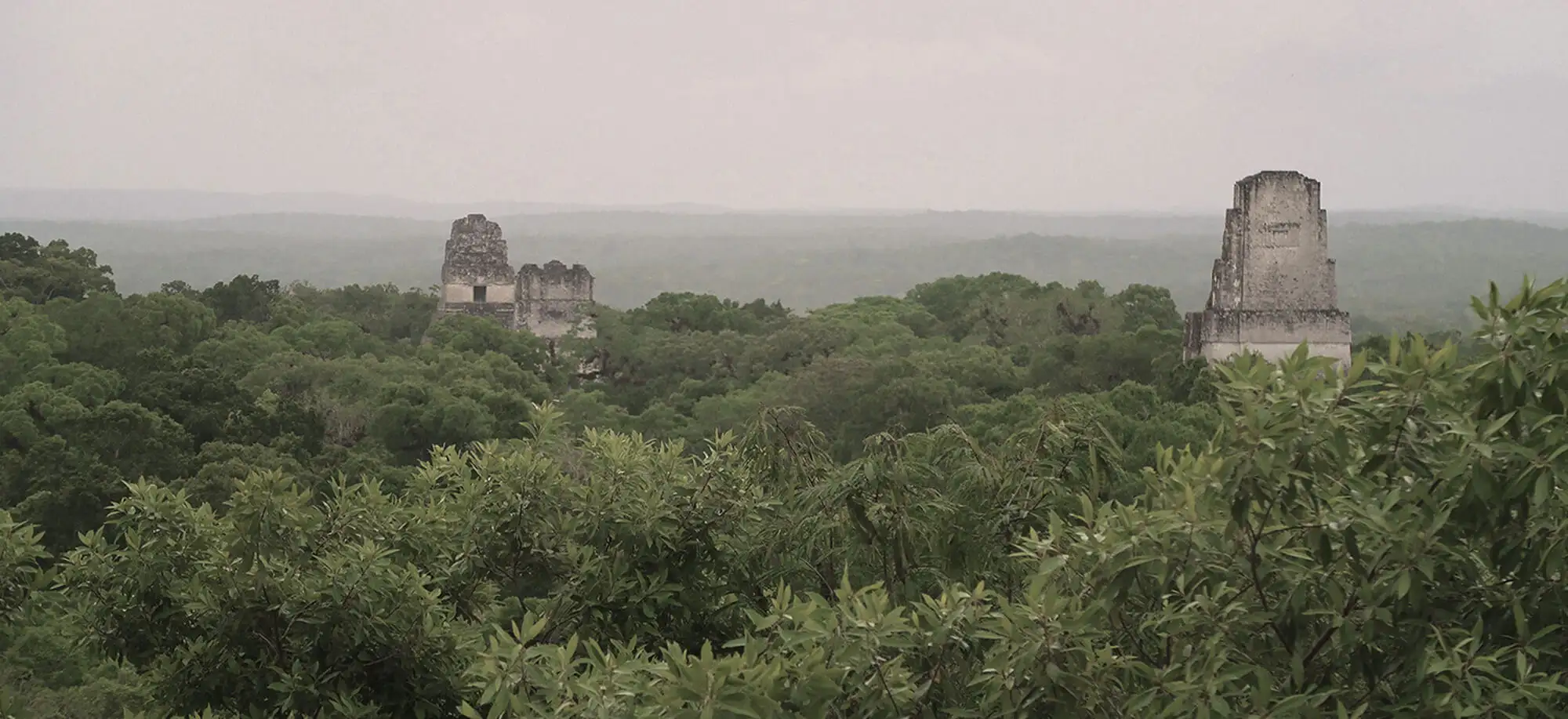 image-viajar-a-guatemala-tikal-g-3.webp - Pangea Viajes