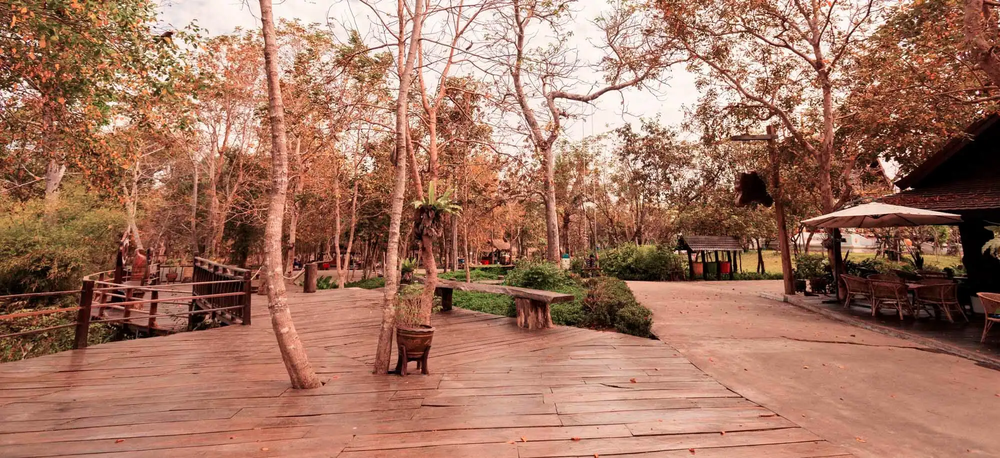 image-viajar-a-laos-isla-de-khong-g-3.webp - Pangea Viajes