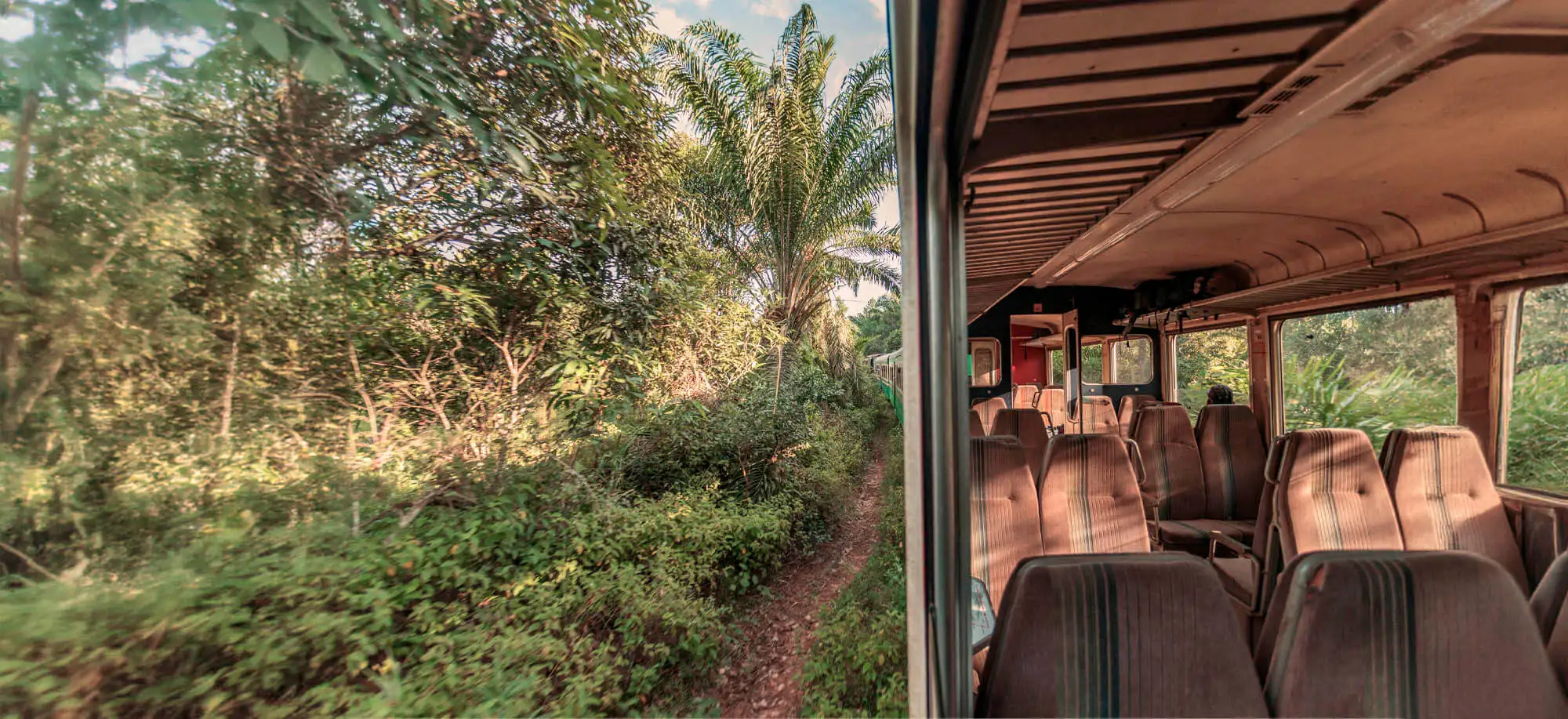 image-viajar-a-madagascar-tren-de-la-selva-g-1.webp - Pangea Viajes