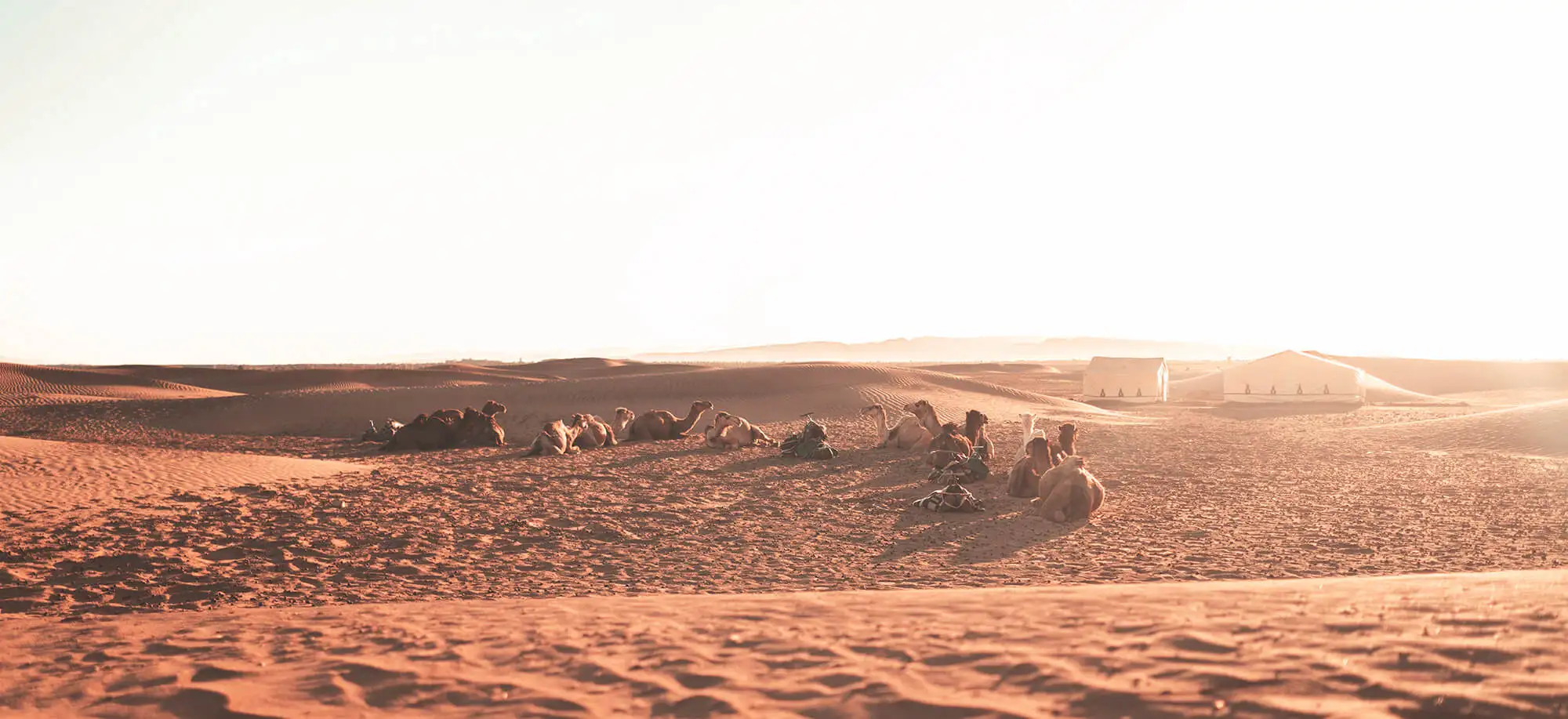 Viajes a Marruecos