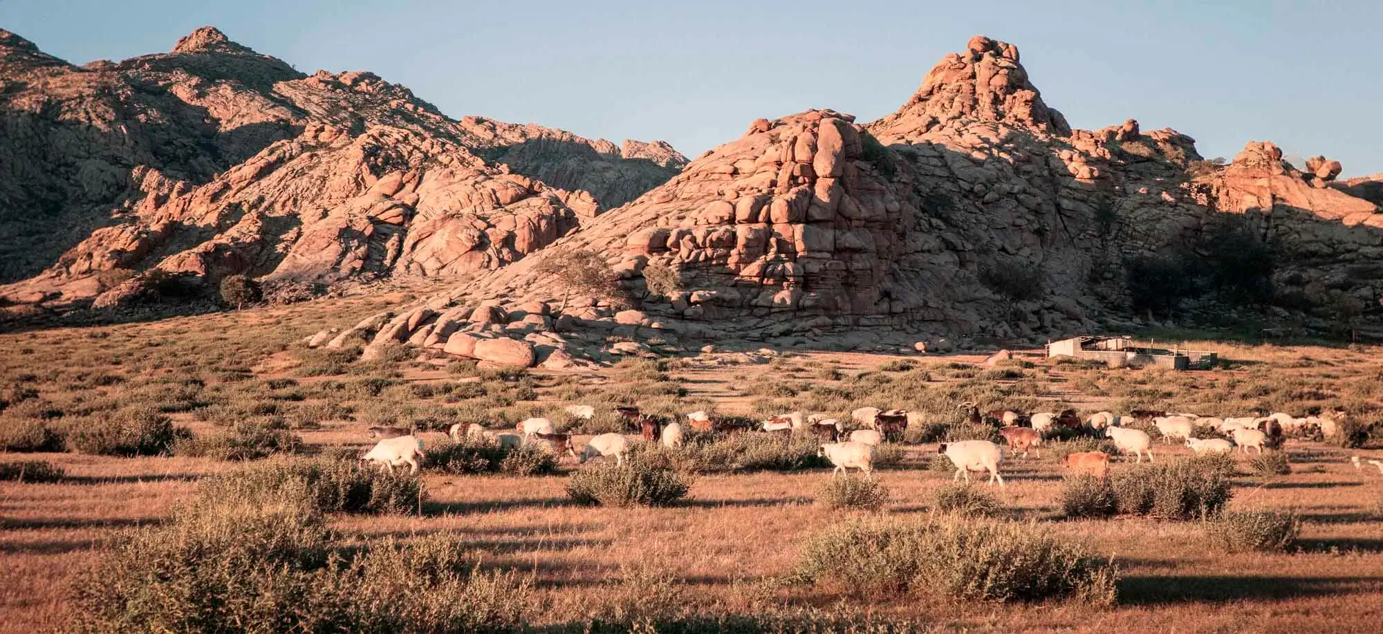 image-viajar-a-mongolia-montañas-de-khogno-khan-g-2.webp - Pangea Viajes