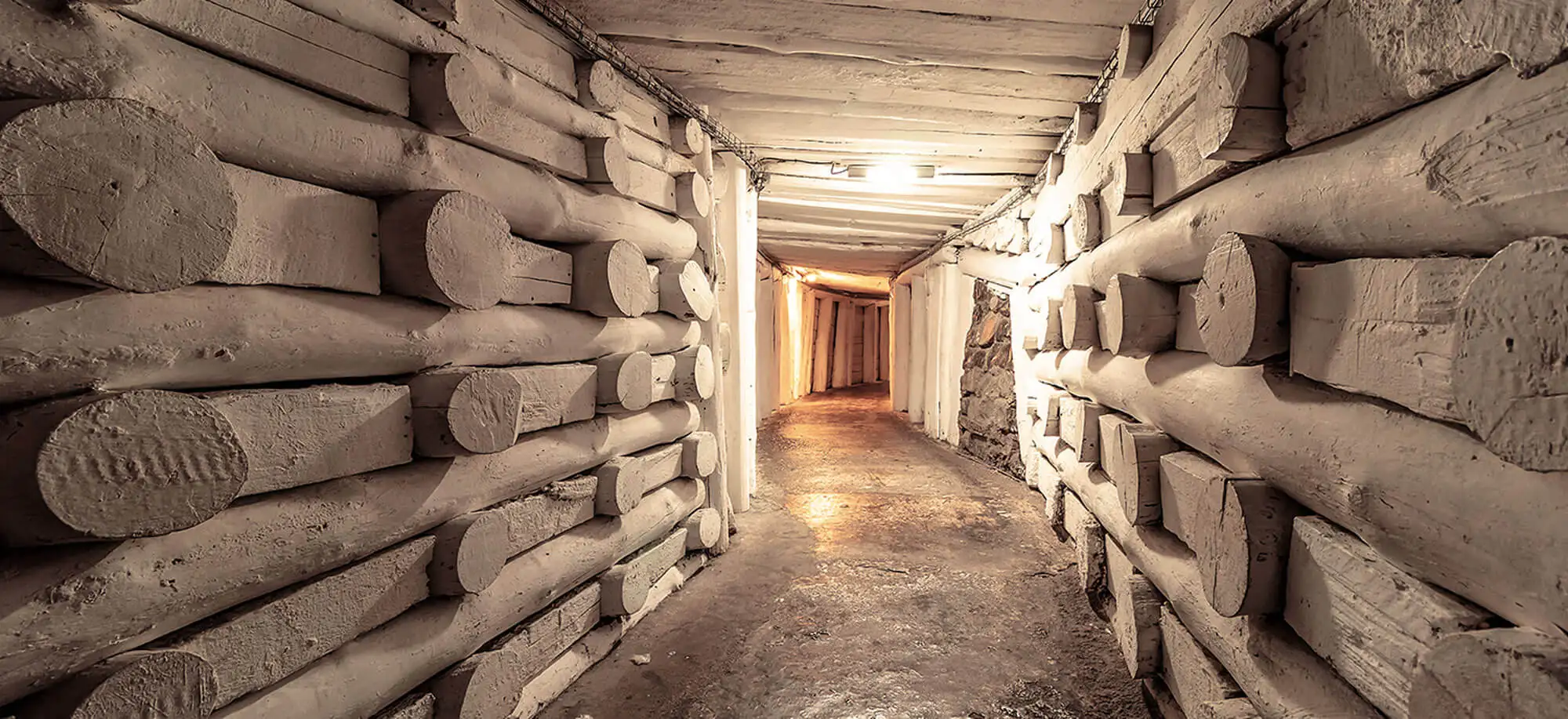 image-viajar-a-polonia-auschwitz y minas de sal-g-3.webp - Pangea Viajes