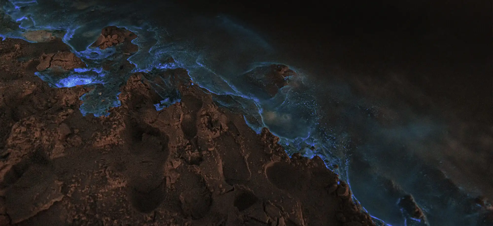 image-viajar-a-puerto rico-lagunas bioluminiscentes-g-3.webp - Pangea Viajes