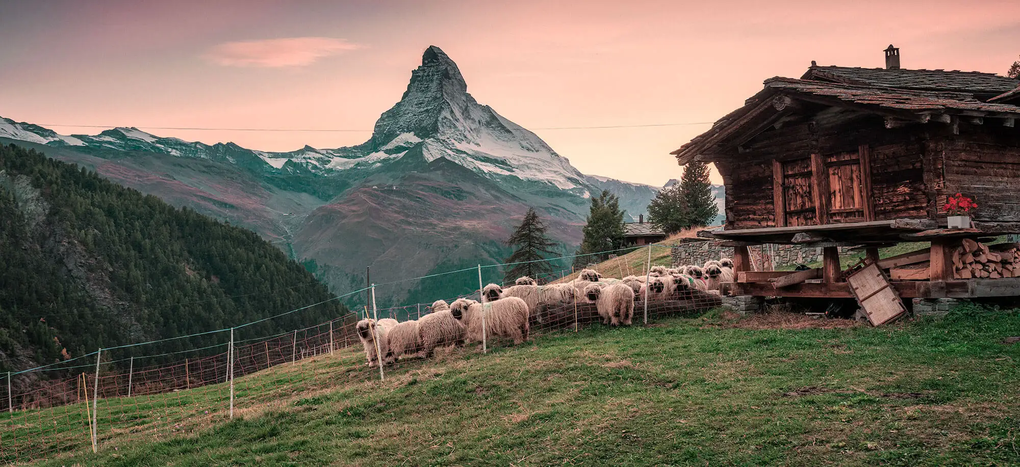 image-viajar-a-suiza-zermatt-g1.webp - Pangea Viajes