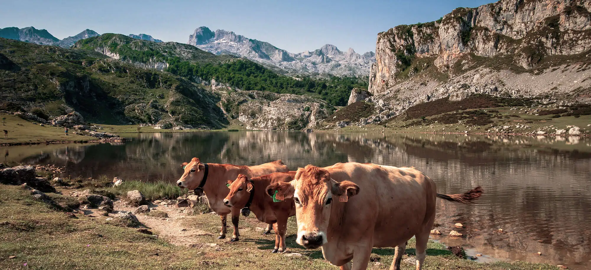 image-viaje-a-espana-asturias-g4-extra.jpg - Pangea Viajes