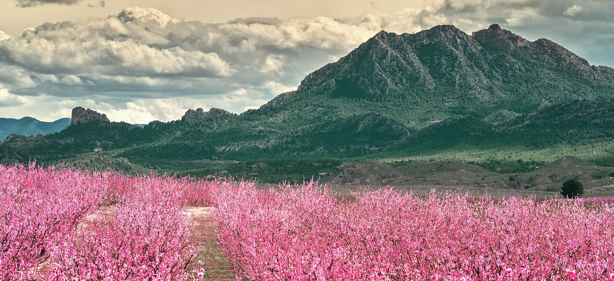 image-viaje-a-espana-murcia-g2.jpg - Pangea Viajes
