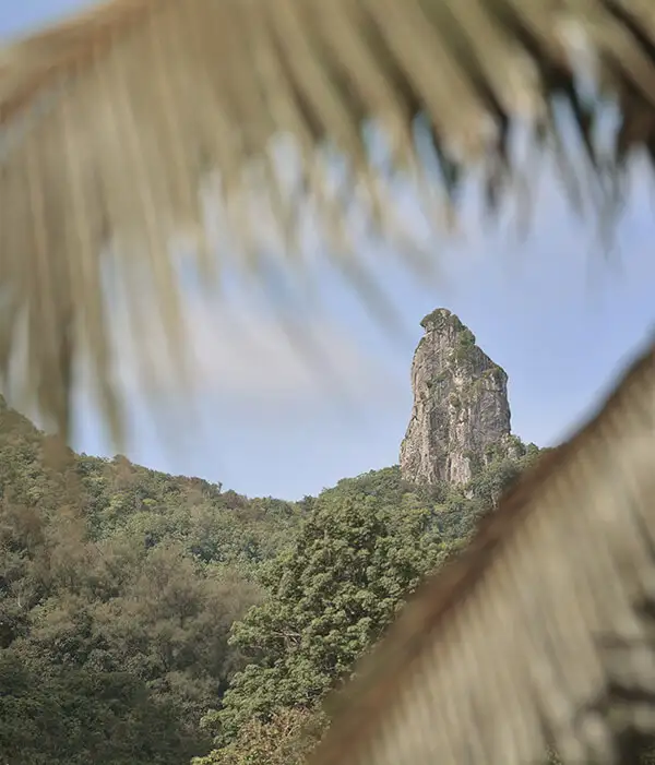 Viajes a Islas Cook