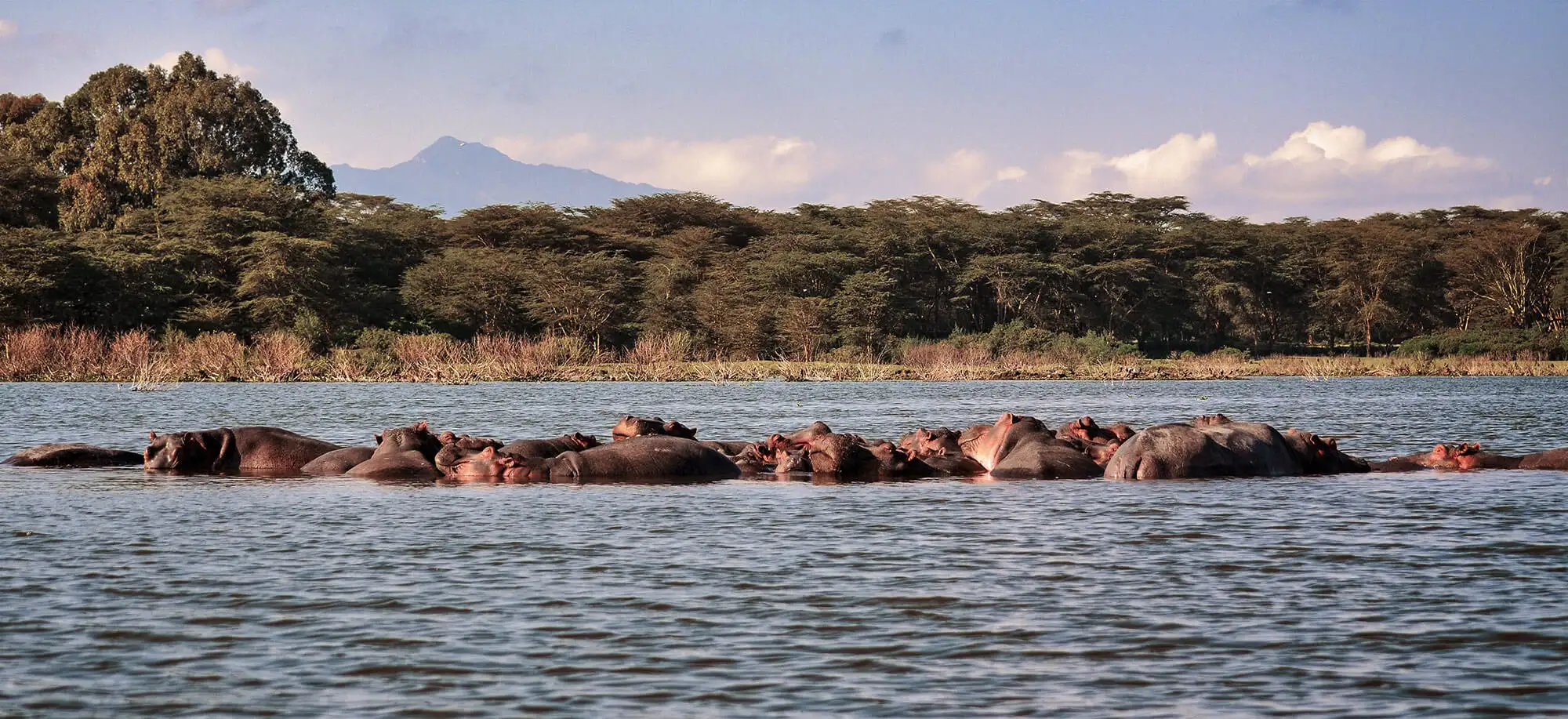 Viajes a los Lagos Naivasha y Nakuru