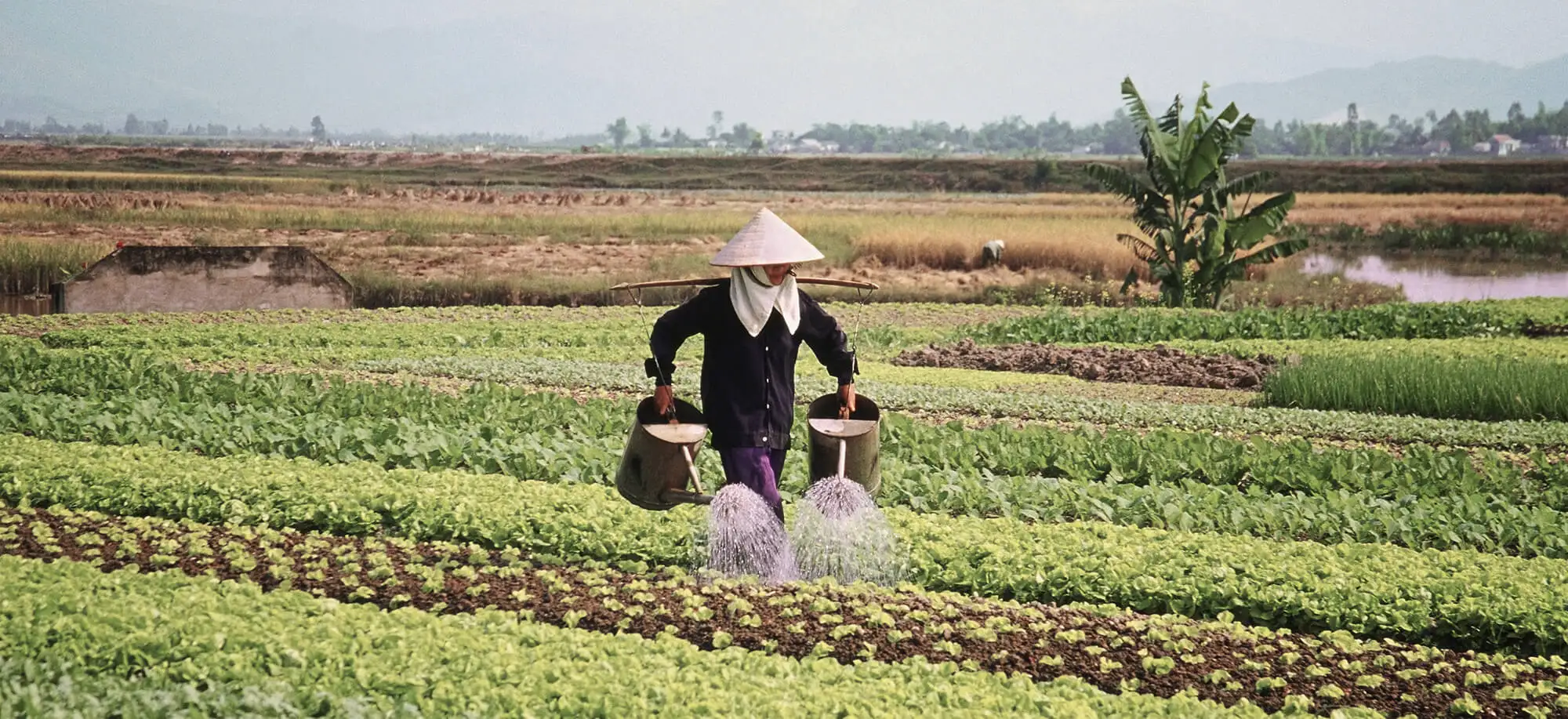 Viajes a Hanoi
